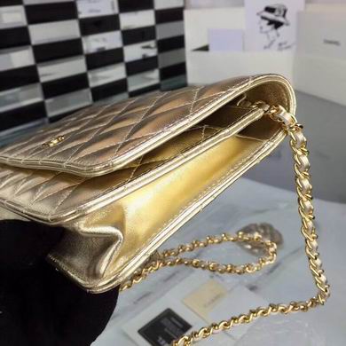 5373 19X12.5cm BL 2colour  (3)
